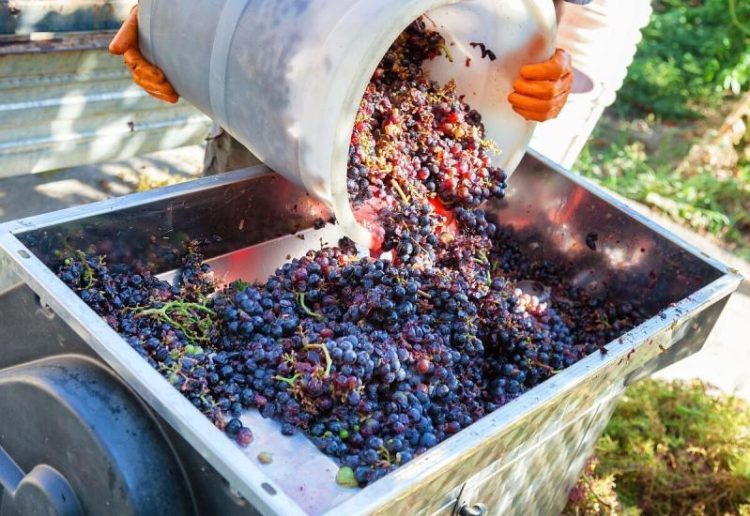 Uhićen i jedan iz BiH: U vino dodavali vodu i šećer