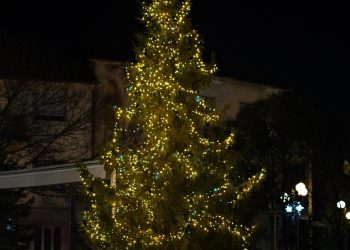 U središtu Širokog Brijega zasvijetlio raskošan božićni bor