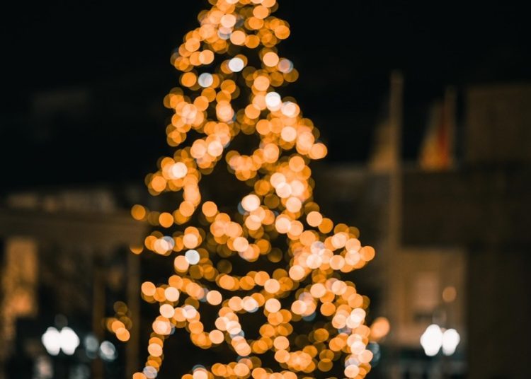 U središtu Širokog Brijega zasvijetlio raskošan božićni bor
