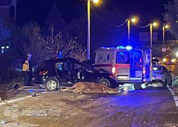 Sudar automobila i konja u Kruševu, jedna osoba poginula