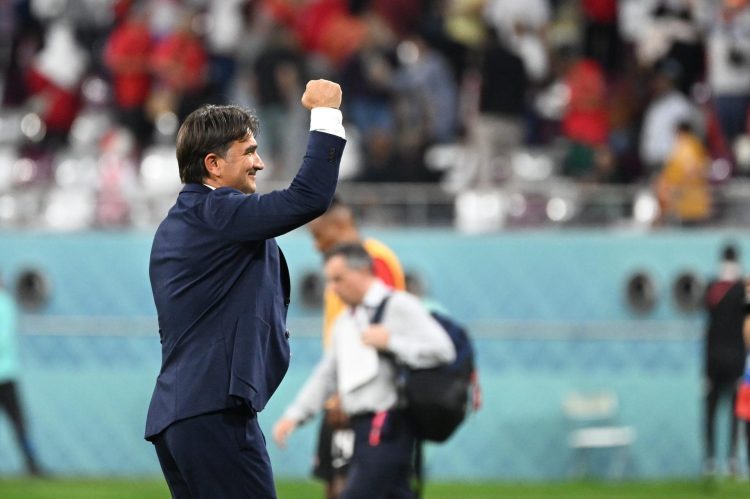 Dalić: Ovo mogu samo velike ekipe