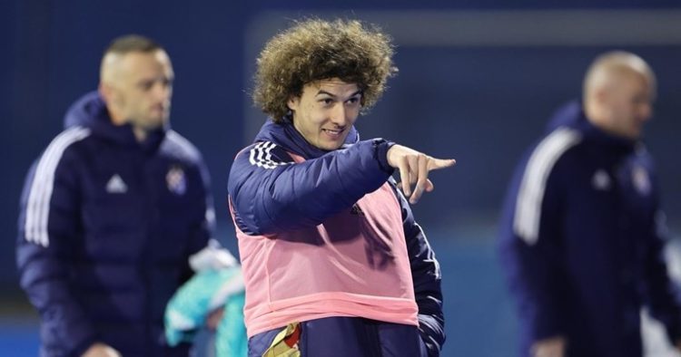 Austrijanci potvrdili: Ljubičić izabrao igrati za Hrvatsku