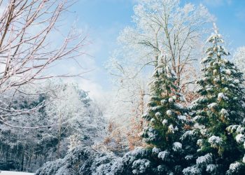 AccuWeather objavio veliku prognozu za zimu