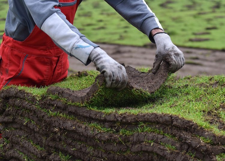 Počelo uklanjanje travnjaka sa stadiona Pod Bijelim Brijegom