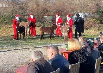Blagdanski događaj utrka magaraca u Čapljini postaje tradicija