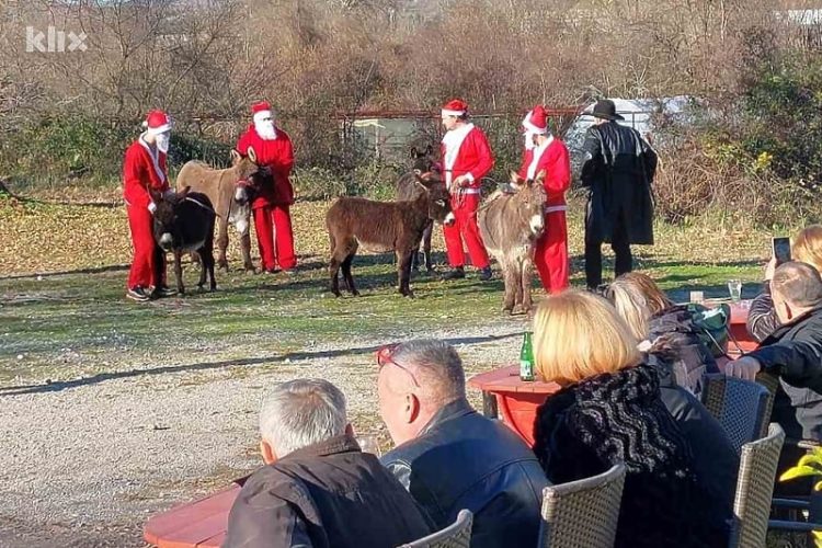 Blagdanski događaj utrka magaraca u Čapljini postaje tradicija