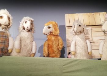 Betlehemska crna ovca u Ljubuškom