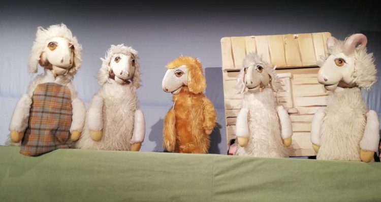 Betlehemska crna ovca u Ljubuškom