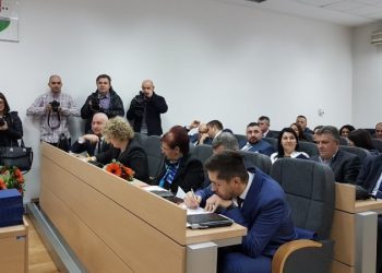 SBŽ: DF-ova Željka Matković umjesto za sebe glasovala za kandidata HDZ 1990 za Dom naroda P FBiH