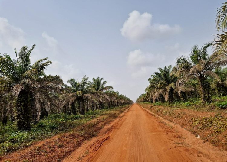 Josipa Galić: Nema kolača, žarulja ni lampica, a u mome srcu ogromna radost