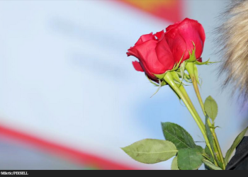 I mali znak pažnje skupo košta, pred Dan žena cijene ruža i do 7 maraka