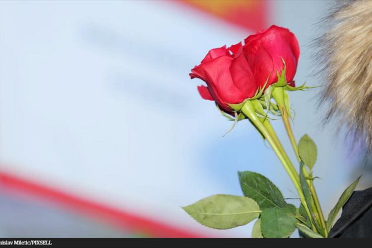 I mali znak pažnje skupo košta, pred Dan žena cijene ruža i do 7 maraka