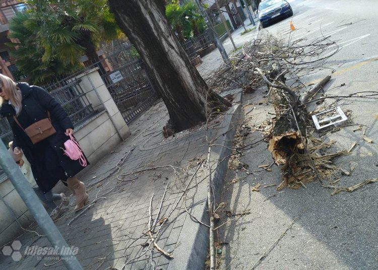 Posljedice vjetra u Mostaru i razbacano smeće po ulicama