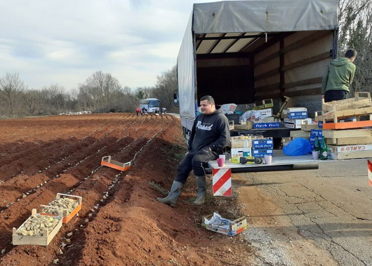 U Ljubuškom počela sadnja ranog krumpira