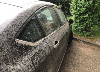 Odgodite pranje automobila: Prva ovogodišnja saharska prašina stiže u BiH