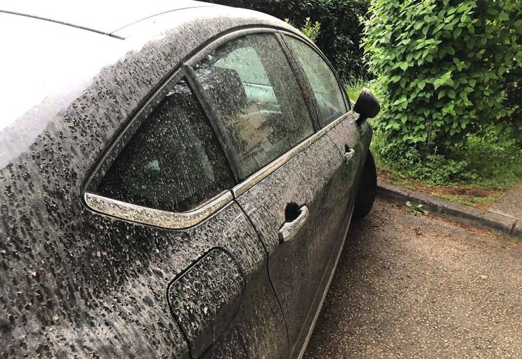 Odgodite pranje automobila: Prva ovogodišnja saharska prašina stiže u BiH