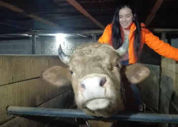 Ova 16-godišnjakinja iz BiH trenira bikove, vozi traktor i natječe se na koridi