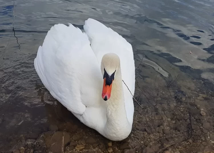 Uzarići – neprocjenjivi prirodni i kulturni biser u Hercegovini