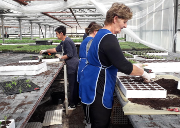 Unatoč poskupljenjima, zasad nema pada proizvodnje povrća