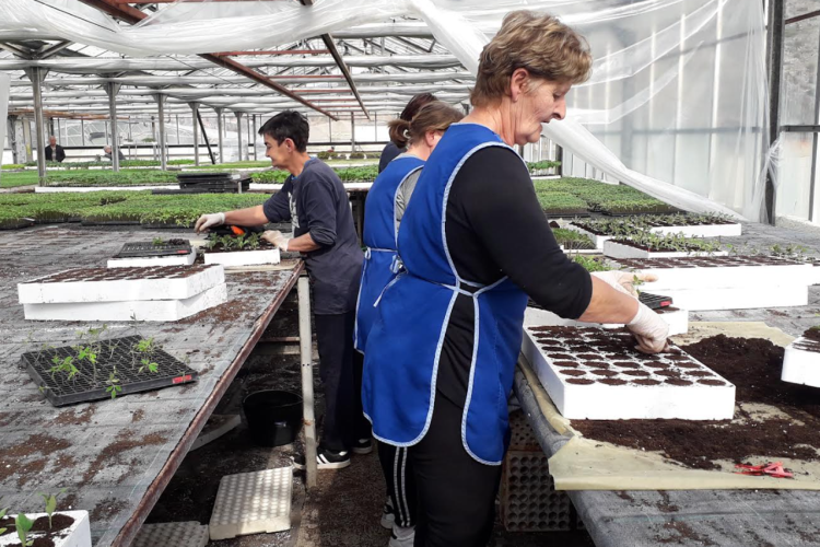 Unatoč poskupljenjima, zasad nema pada proizvodnje povrća