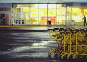 Pred blagdane poskupjela svinjetina, ranije i junetina