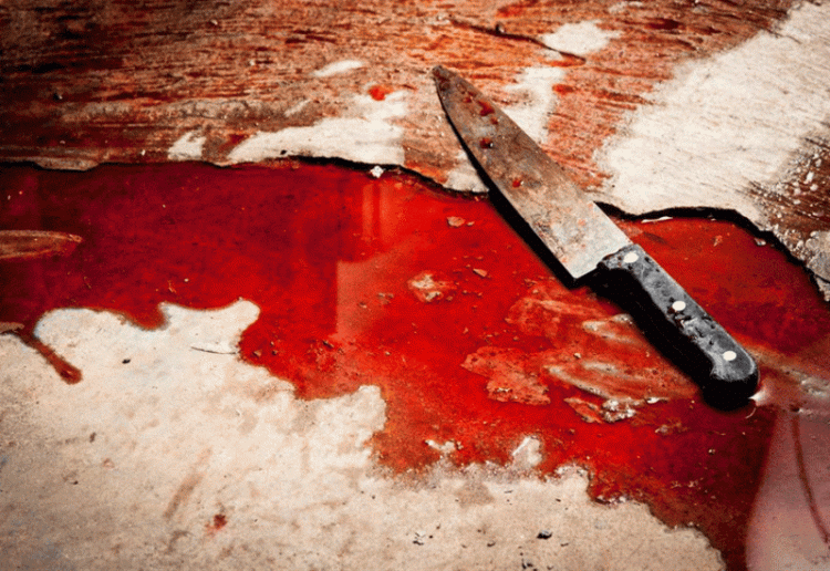 Strahota: Otac i sin ubili kuma