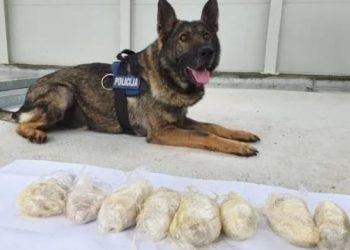 Ivica Galić (71) vozio suprugu, kćer, unuke i kilogram heroina, ide u zatvor