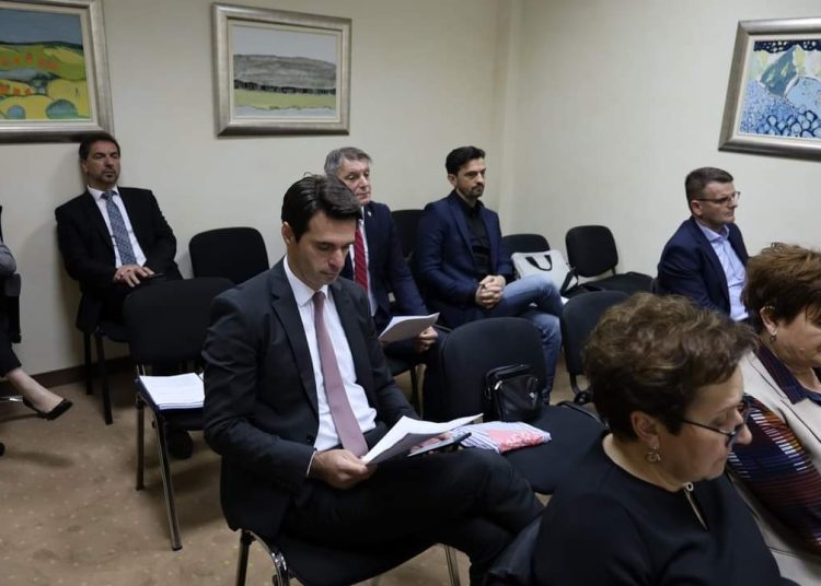 Predsjedništvo Hrvatskog narodnog sabora BiH imenovalo voditelje odjela Glavnog vijeća