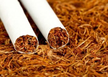 Prihodi od akciza na domaći duhan u BiH smanjeni 100 puta