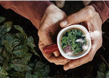 Svake sekunde u svijetu se popije 6.000 šalica NESCAFE kave