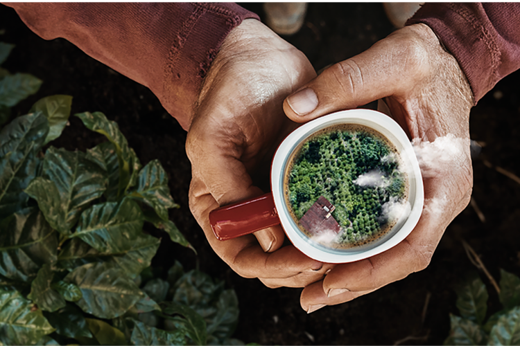 Svake sekunde u svijetu se popije 6.000 šalica NESCAFE kave