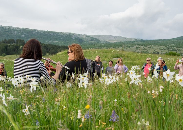 U Parku prirode Blidinje održan Festival narcisa