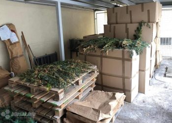 U Mostaru izvršena jedna od najvećih zapljena kanabisa u BiH