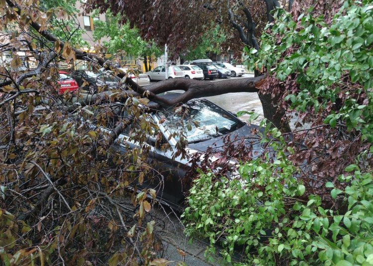 Otkinuti krovovi, porušena stabla: Pogledajte nevjerojatne scene u Zagrebu i okolici