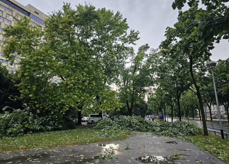 Otkinuti krovovi, porušena stabla: Pogledajte nevjerojatne scene u Zagrebu i okolici
