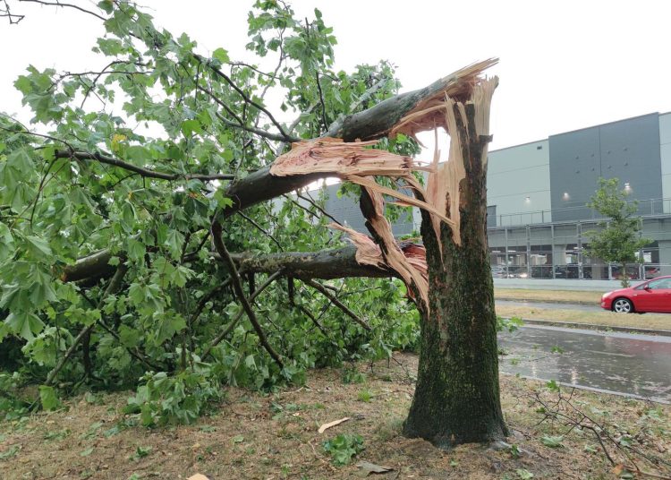 Otkinuti krovovi, porušena stabla: Pogledajte nevjerojatne scene u Zagrebu i okolici