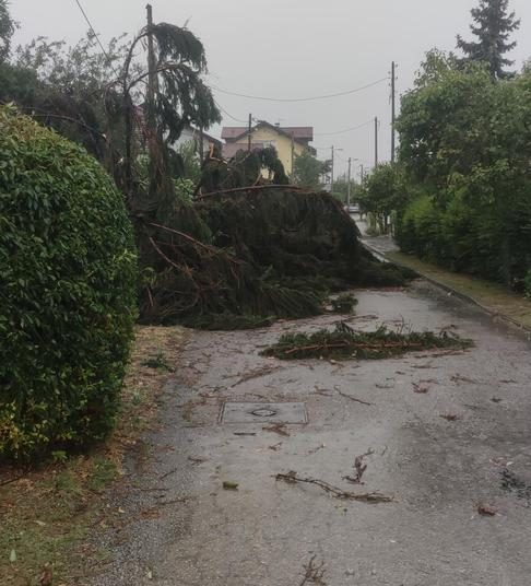 Otkinuti krovovi, porušena stabla: Pogledajte nevjerojatne scene u Zagrebu i okolici