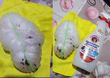 Komad leda u tuči u Italiji imao promjer 19 cm