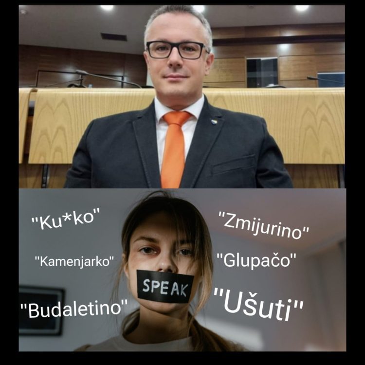 Nasilje nad ženama na “parlamentarni” način