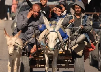 Izraelska vojska: Više od 600.000 stanovnika Gaze pobjeglo prema jugu