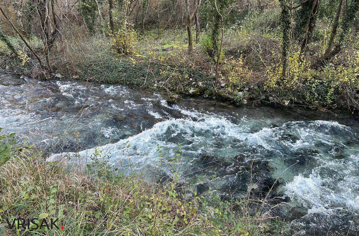 Široki Brijeg: Borak u jesenskom ruhu