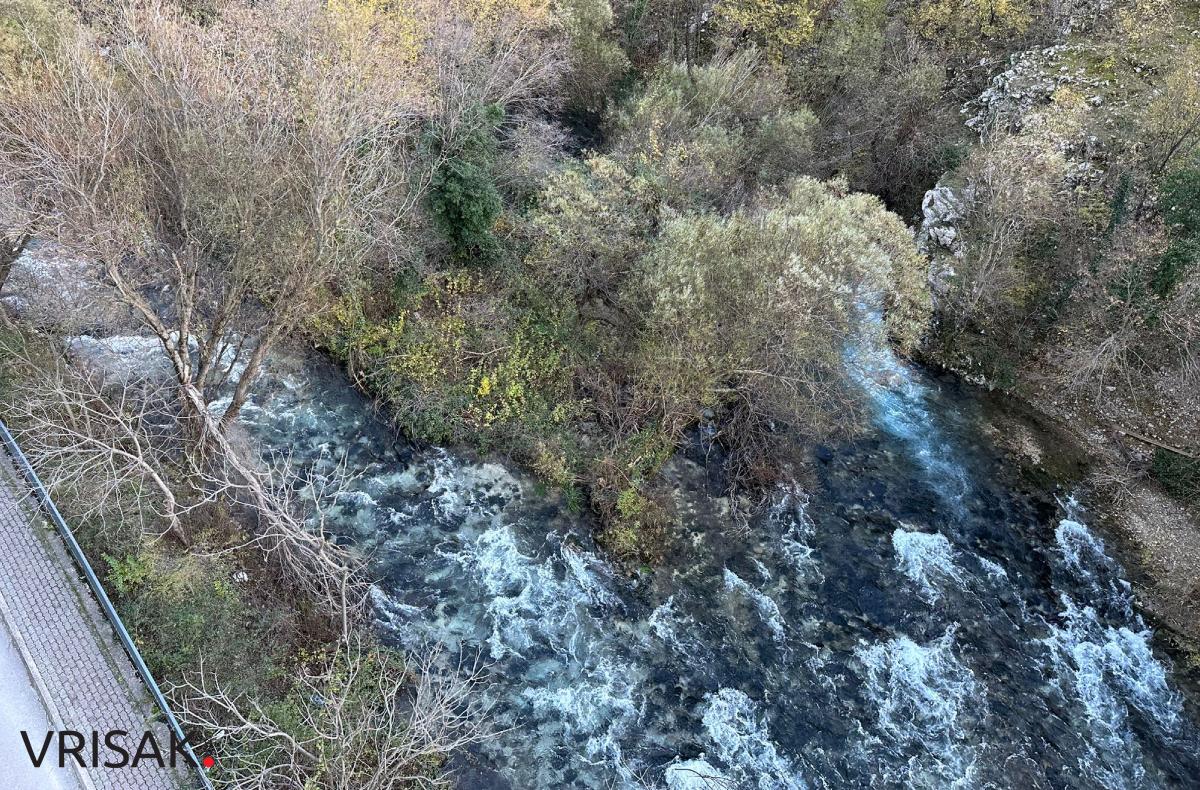 Široki Brijeg: Borak u jesenskom ruhu