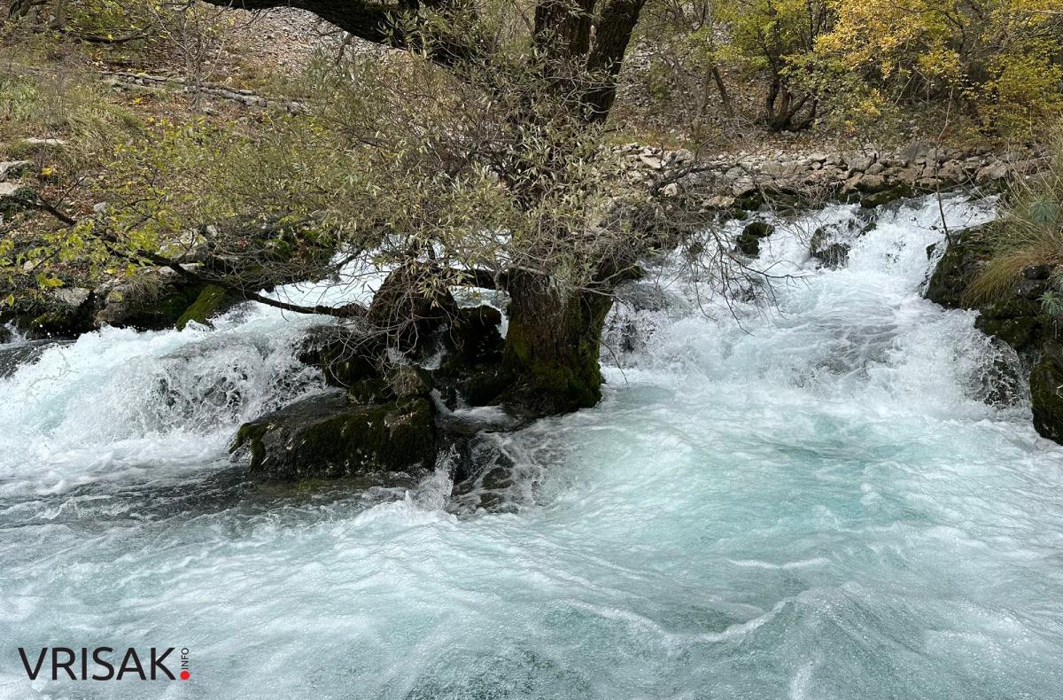 Široki Brijeg: Borak u jesenskom ruhu