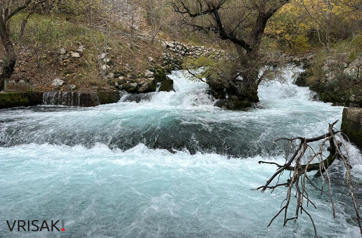 Široki Brijeg: Borak u jesenskom ruhu
