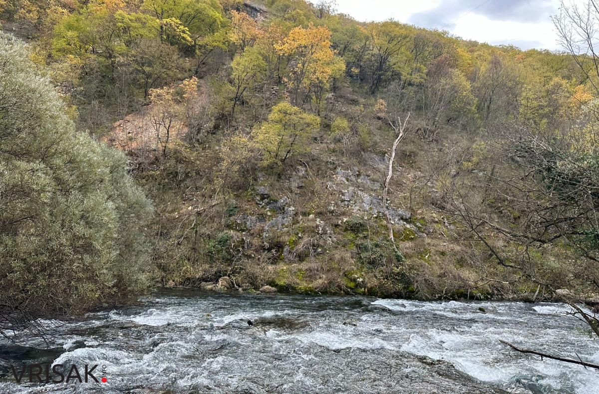 Široki Brijeg: Borak u jesenskom ruhu