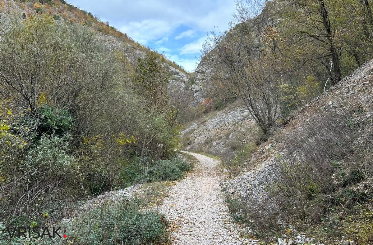 Široki Brijeg: Borak u jesenskom ruhu