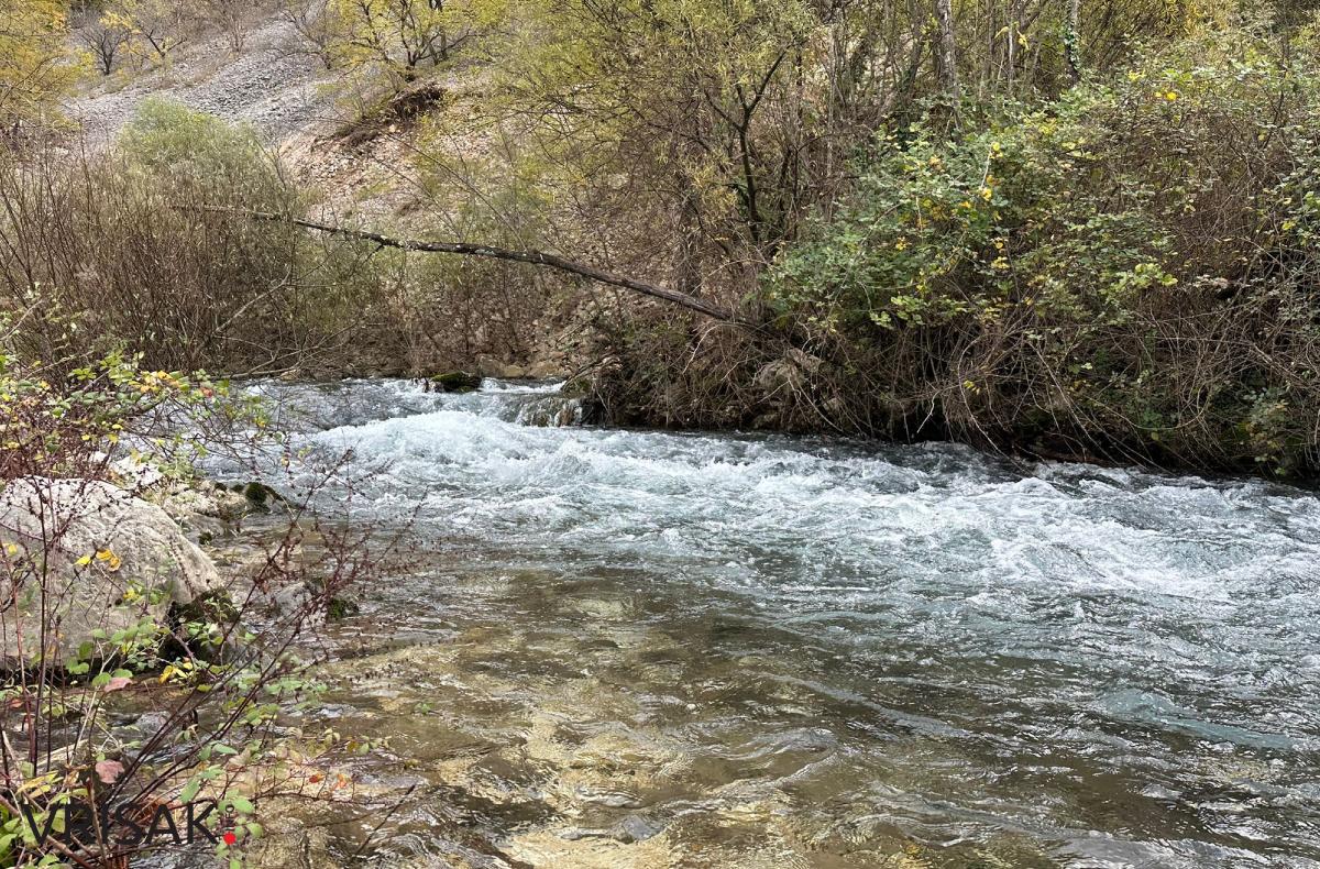 Široki Brijeg: Borak u jesenskom ruhu