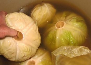 Počela je sezona namirnice koju nazivaju lijekom za stotinu bolesti