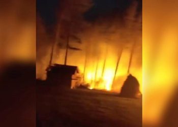 Olujni vjetar srušio dalekovod u BiH (VIDEO)