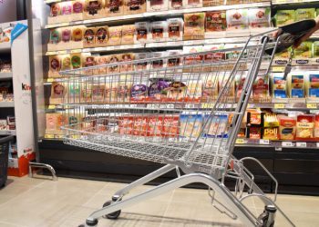 Sve je jako skupo, umirovljenici rade da bi preživjeli mjesec